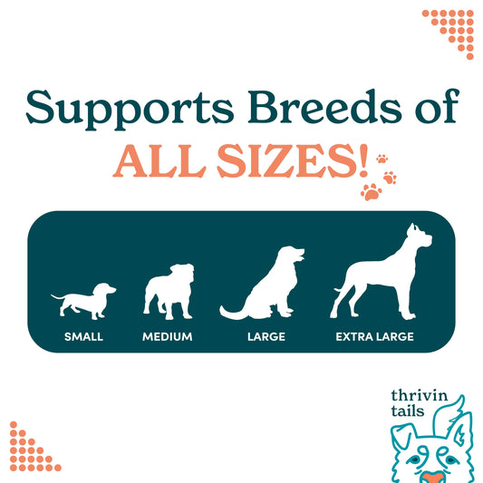 Thrivin Tails Bacon-Flavored Calming Chews for Dogs: Hemp and Melatonin Dog Anxiety Relief Treats, CBD-Infused Calming Chews and Treats for Dogs, Perfect Sleep Aid, 120 Count