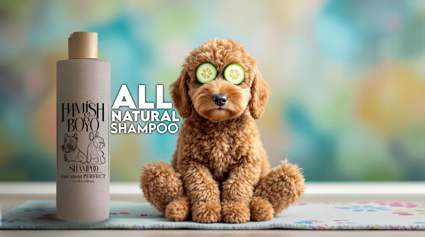 Nature - Derived Dog Shampoo: Hypoallergenic for Sensitive Skin, Natural Oatmeal & Aloe Vera, Soothing Lavender Scent, Tear-Free, Anti-Itch Formula for Dry, Itchy Skin, Safe for Puppies & All Breeds