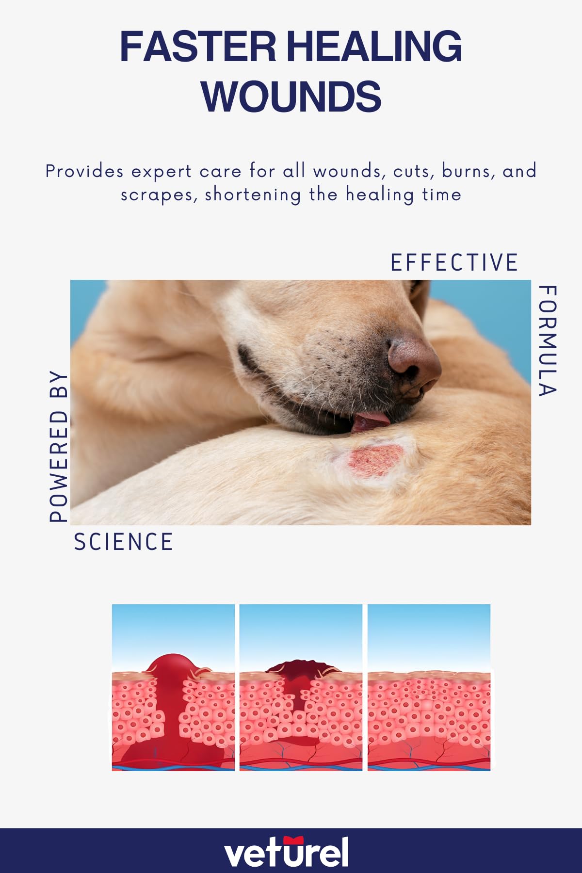 GRRR. Same great product From the Makers of Moosh – Natural Dog Shampoo with Lavender Essential Oils for Itchy Skin ,Hot Spots, and Pet Odor, Grooming Shampoo, Concentrated12 ounces