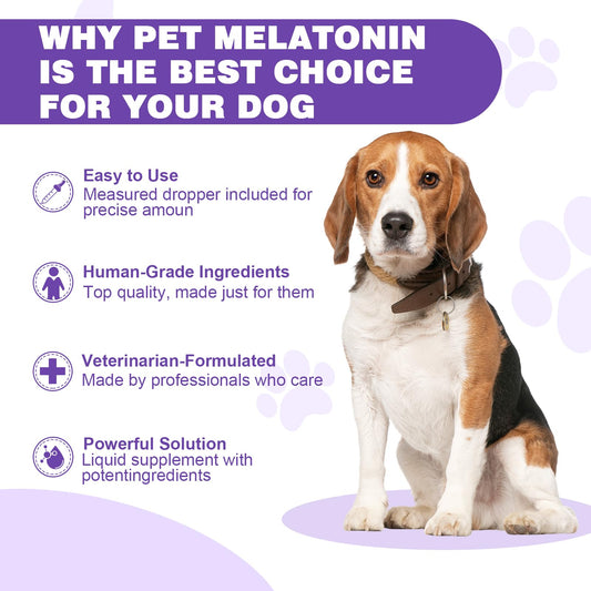 Melatonin for Dogs,Dog Sleep Aid,Calming for Dogs,Melatonin for Sleep Relieves Anxiety and Stress in Dog, Helps Calm and Restful Sleep,Bacon Flavor
