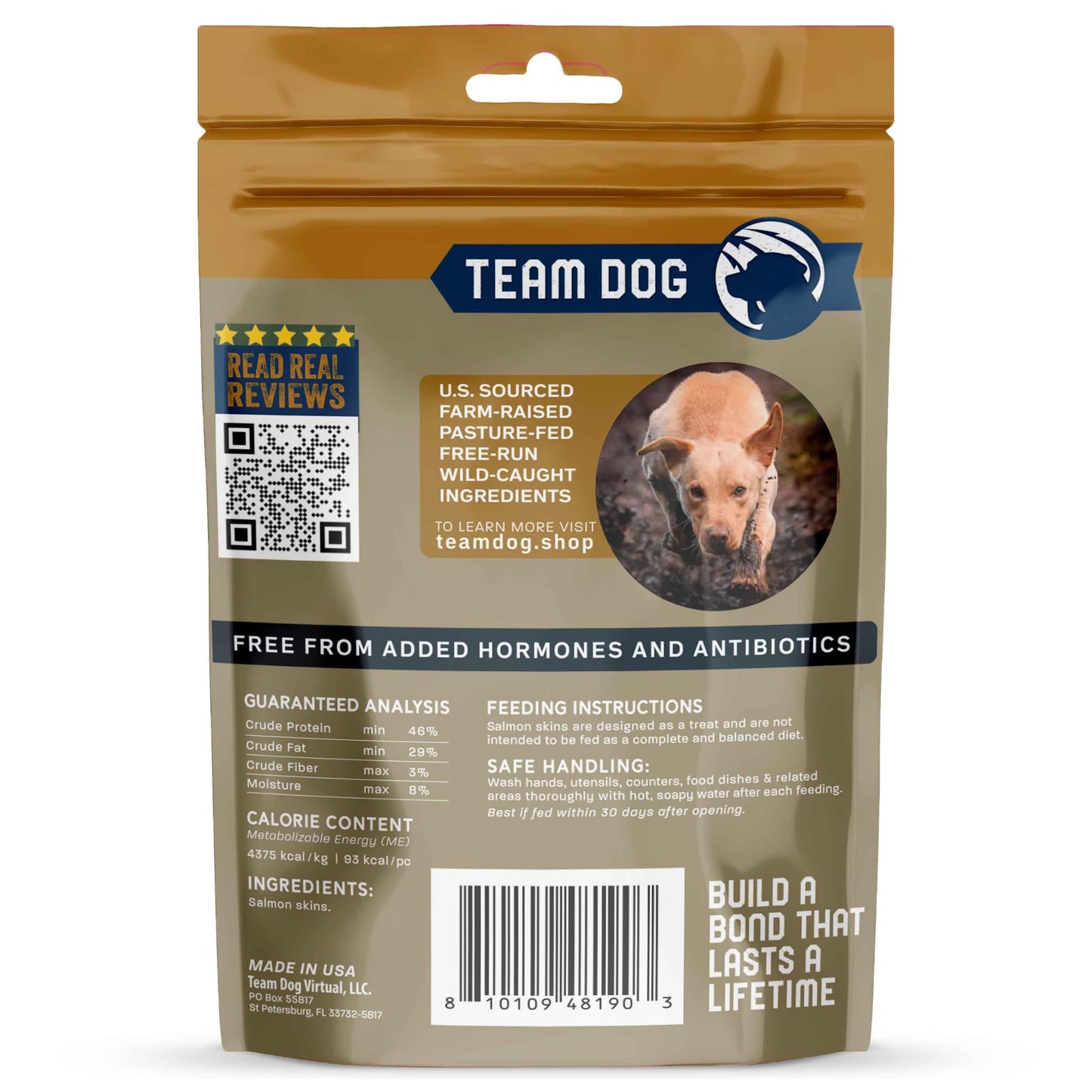 Team Dog Wild Alaskan Salmon Skin Treats for Dogs | Gluten Free, Grain Free, Single Ingredient | Freeze-Dried Raw Dog Treats Rich in Omega 3 | Promotes Healthy Skin & Coat | 4 Dog Chews per Bag