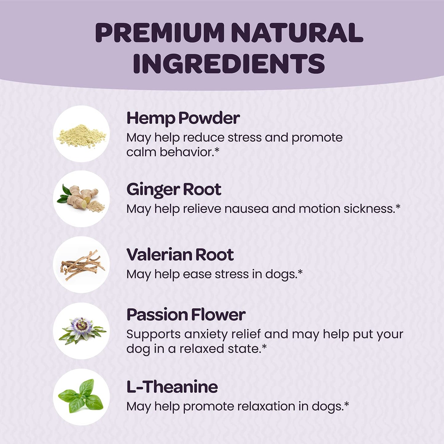 Ready Pet Go! Omega 3 + Calming Chews for Dogs | Helps with Dog Anxiety, Separation & Barking | Fish Oil for Dog Shedding, Skin Allergy, Itch Relief | 90 Chews Each