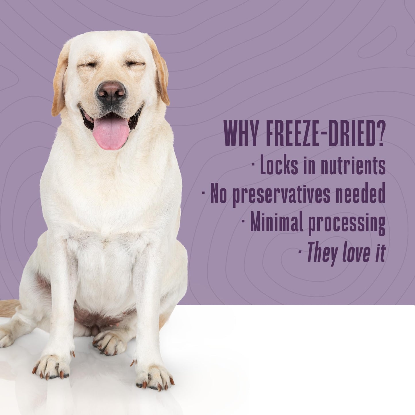 Whole Life Dog Just One Salmon Freeze Dried Dog Treats - Human Grade High Protein Food, Healthy Training Snacks, Freeze Dried Salmon Food Toppers, USA Made Natural Treats - 2 oz (Value Pack of 1)