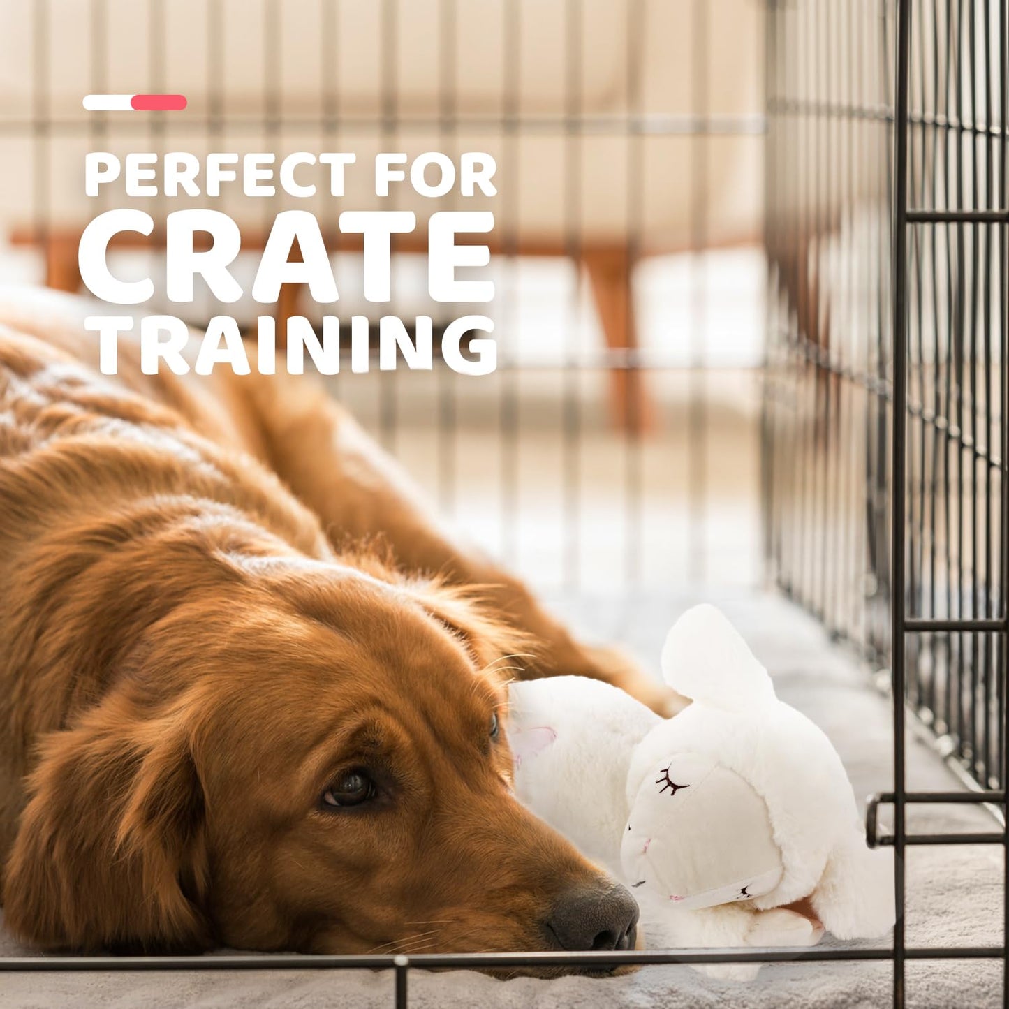 ALL FOR PAWS Heartbeat Dog Toy for Puppy - Dog Anxiety Relief & Behavioral Training | Puppy Heartbeat Stuffed Animal Plush Toy | Perfect for Dog Sleep Aid