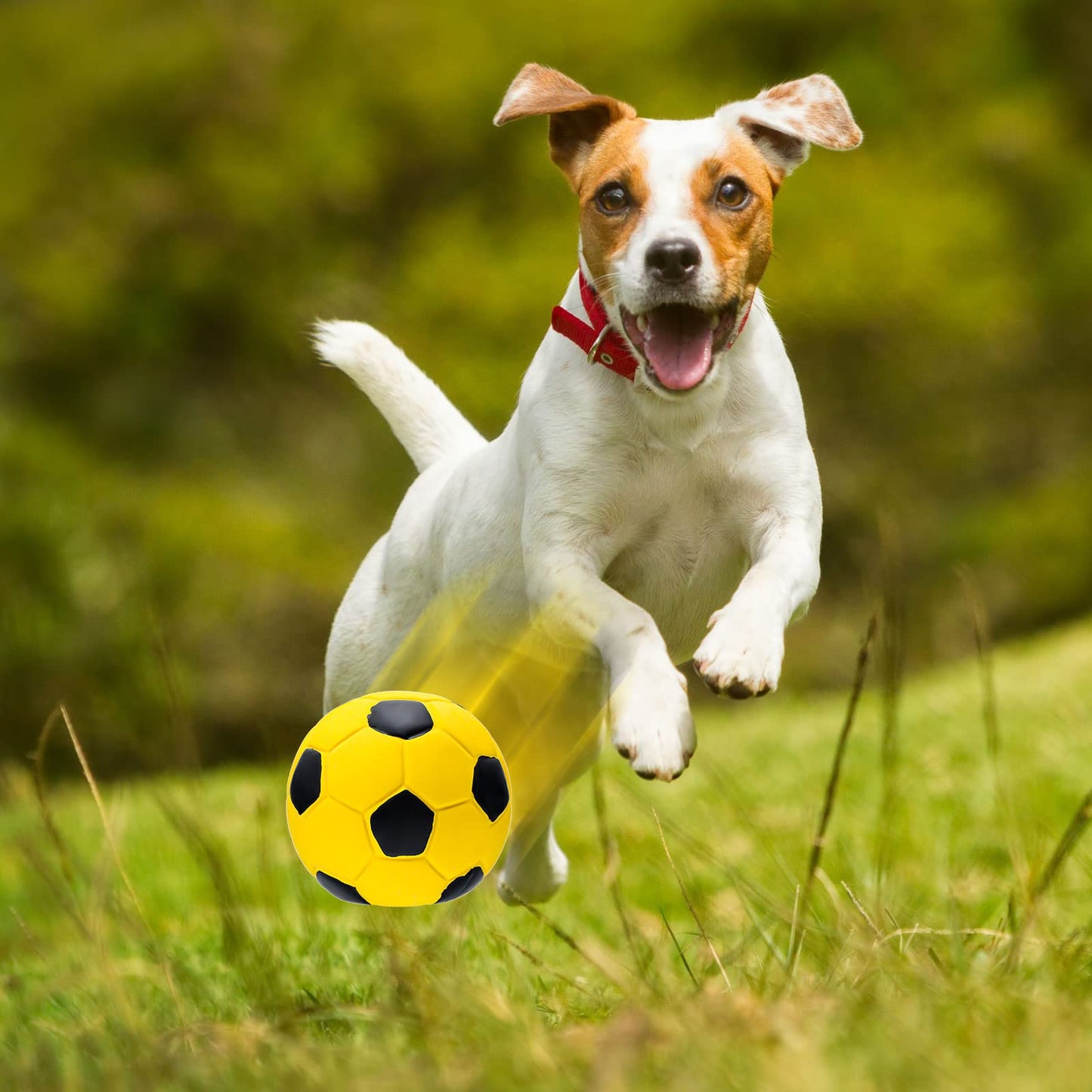 Sumind 9 Pcs Latex Squeaky Dog Toys Soccer Ball Interactive Fetch Toys Soft Football Puppy Chew Balls for Small Medium and Large Dogs(Yellow, Blue, Green)