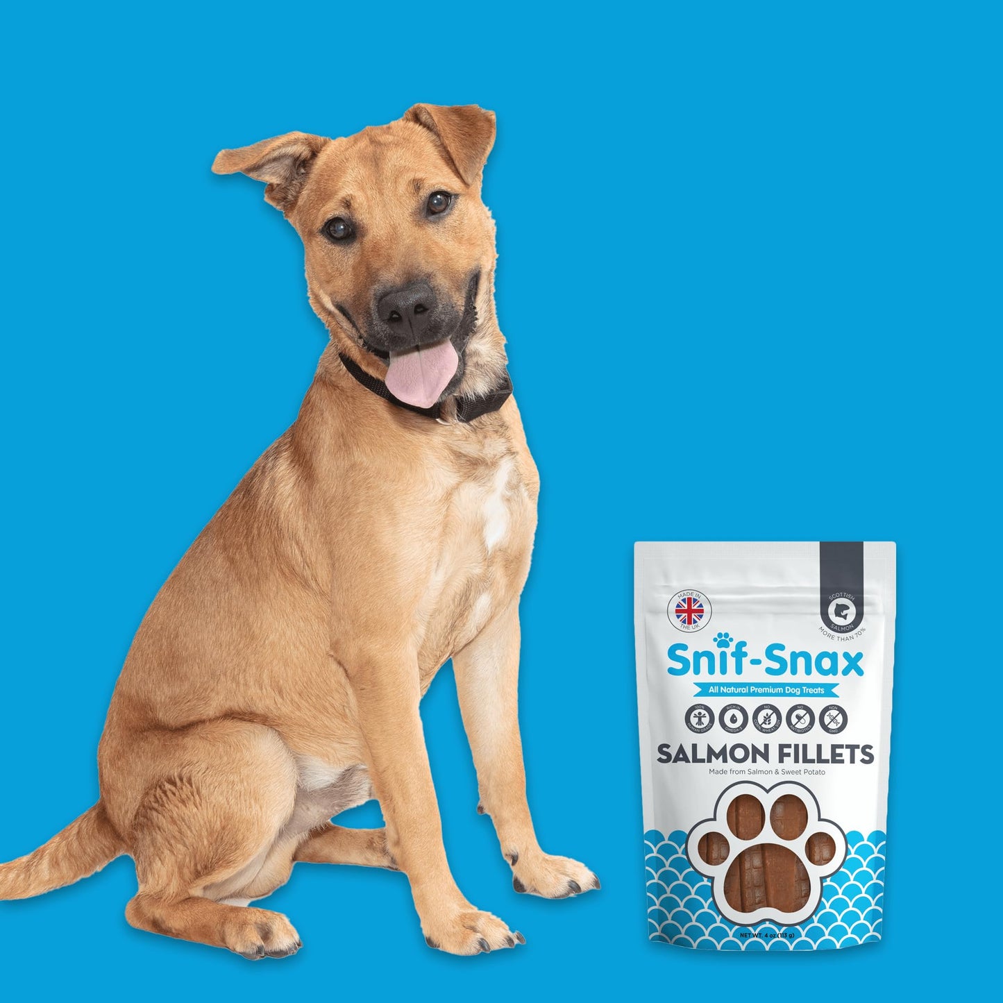 Snif-Snax Salmon Fillets Dog Treats 3 Pack – All Natural, Healthy Training & Reward Treats for Dogs – Human Grade, High Protein