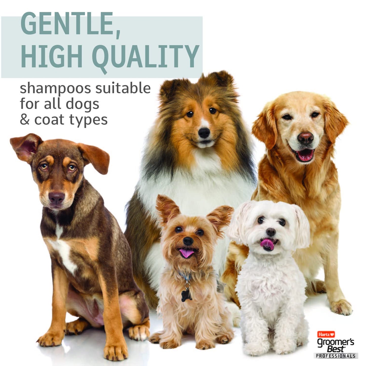 earthbath Hypoallergenic Natural Aloe Dog Shampoo - Puppy Shampoo for Dry, Itchy, & Sensitive Skin, Dog & Cat Anti Itch Pet Wash, Fragrance Free - 16 Oz (1 Pack)