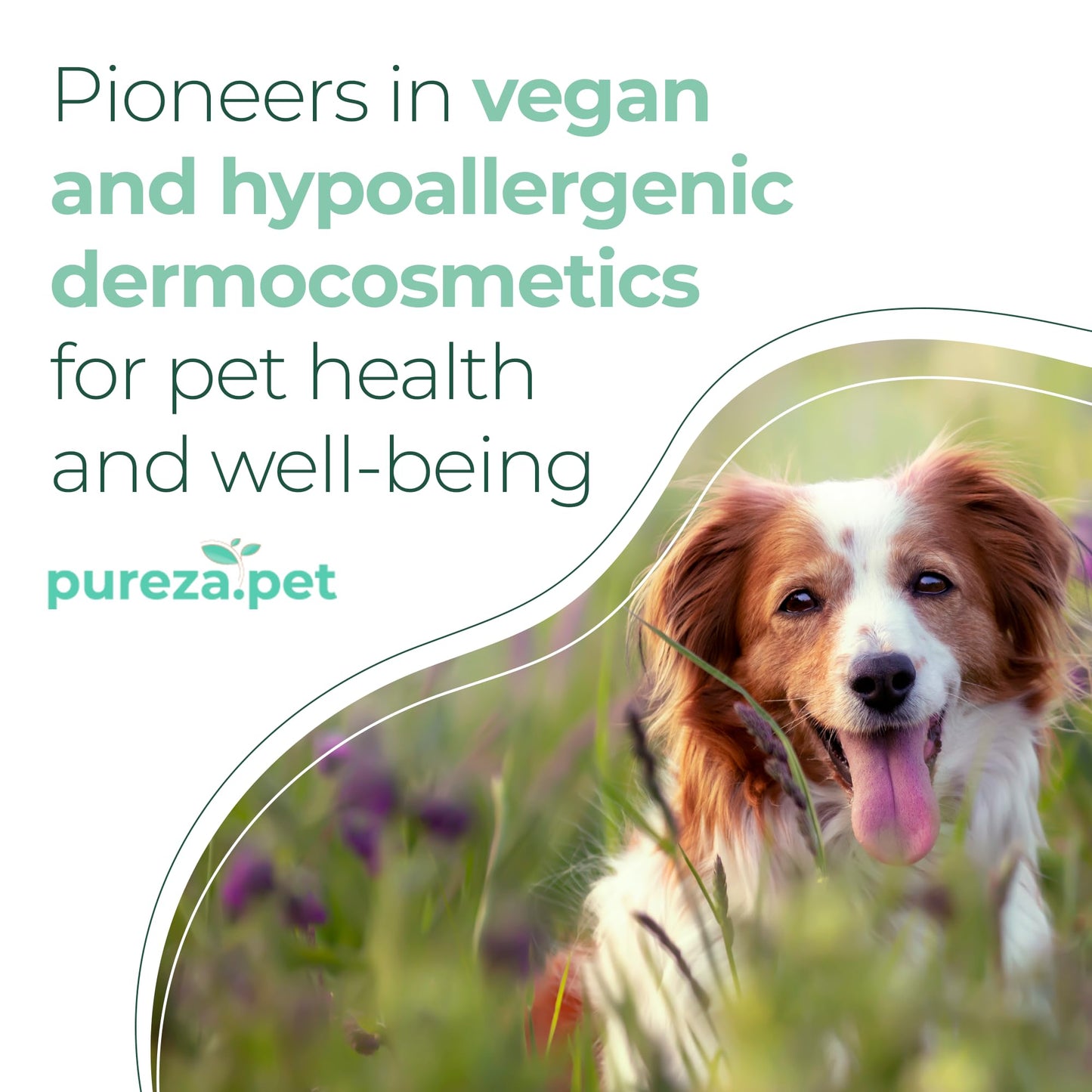 Sensitive Skin Hypoallergenic Conditioner for Pets - Fur Detangling, Nourishment & Hydration, All Ages Pet Grooming Products, Horse, Cat Dog Bath Supplies - Vegan, Paraben-Free - 10.6oz - PUREZA PET