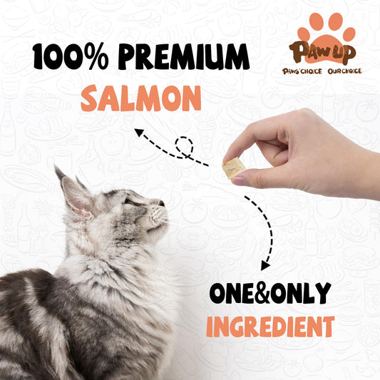 PAWUP Freeze Dried Salmon Cat Treats, Single Ingredient Raw Cat Food Toppers, Healthy Training Treats for Dogs, Cats, 3.8 oz