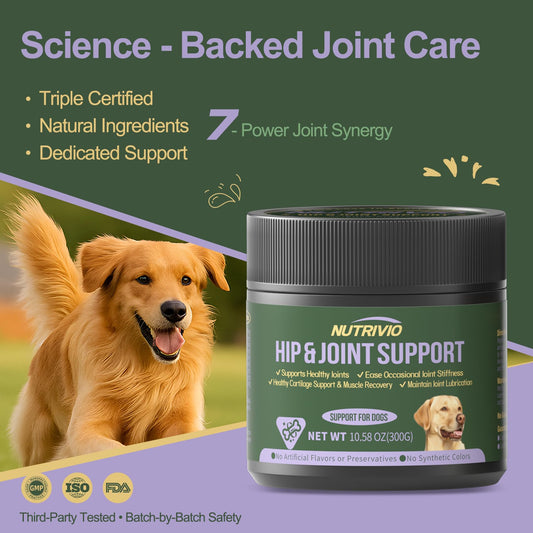Hip and Joint Supplement for Dogs Chews with Glucosamine HCI, Chondroitin, MSM, Omega-3 & Turmeric – Joint Pain Relief – Large & Small Breed - Mobility Support- Natural Chicken Flavor