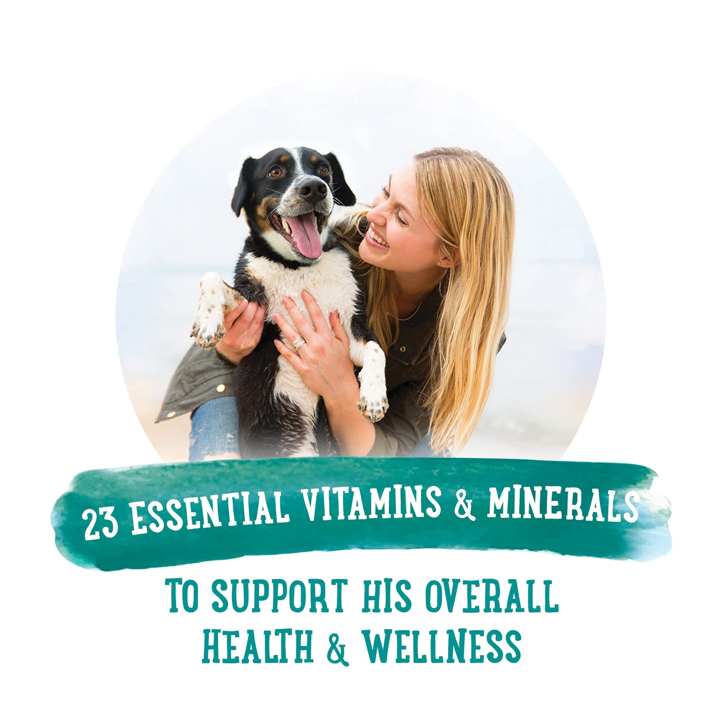 Purina Beneful Prepared Meals Lamb & Rice Stew - (8) 10 oz. Tubs