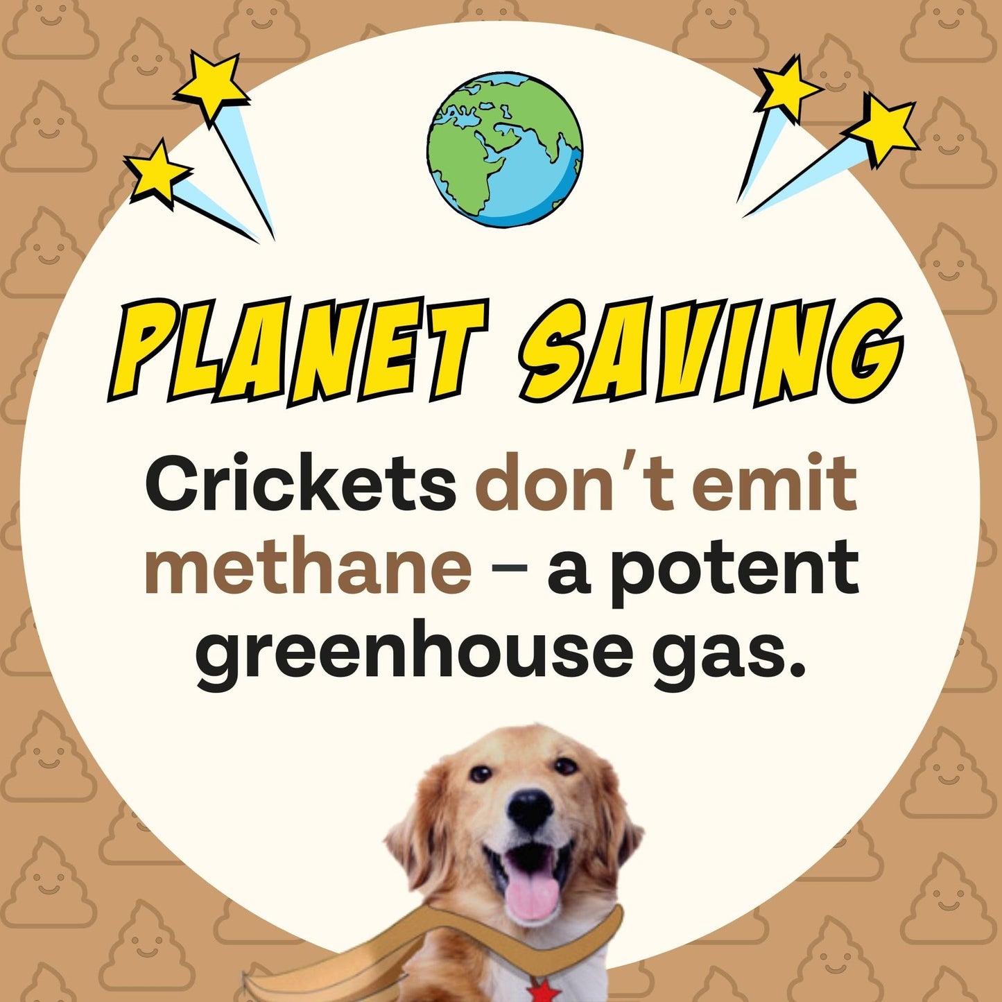 Peanut Butter Dog Treats, Healthy Puppy Treat, Pumpkin, Cricket, Gift for Pet Lovers, Natural Dog Snacks, Hypoallergenic, Gut-Healthy, Medium and Large Dogs, Sustainable Products