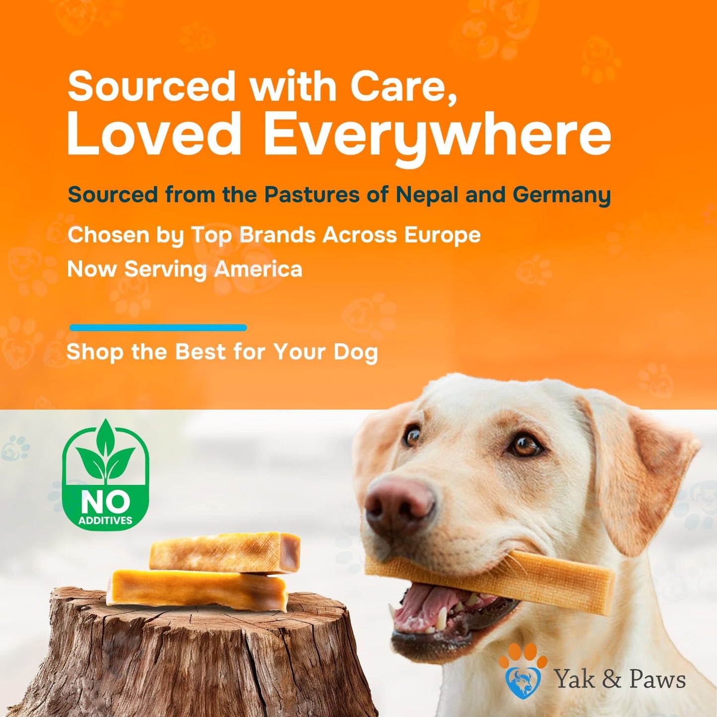 Yak & Paws Natural Yak Cheese for Small Dogs – Healthy, Long-Lasting Chews for Light Chewers - Small (2.1-2.4 oz) 3 Chews/Pack