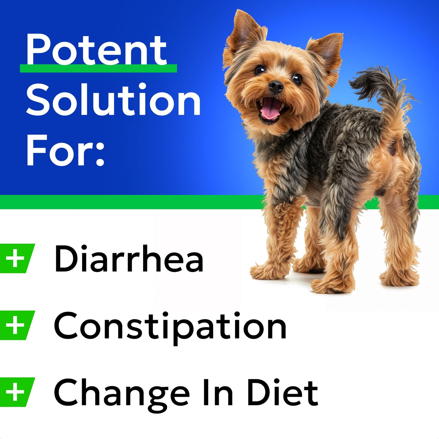 BARK&SPARK Pumpkin Powder for Dogs - 8oz Powdered High Fiber Supplement and Stool Softener - Upset Stomach, Food Sensitivity - Improve Digestion - 8oz