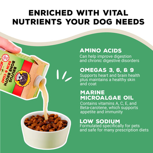 Brutus Vegetable Broth for Dogs 16.9 oz | All Natural | Made in USA | Omegas & Turmeric for Healthy Skin & Coat | Human Grade Ingredients | Hydrating Dog Food Topper, Gravy & Treat Salmon (Pack of 6)