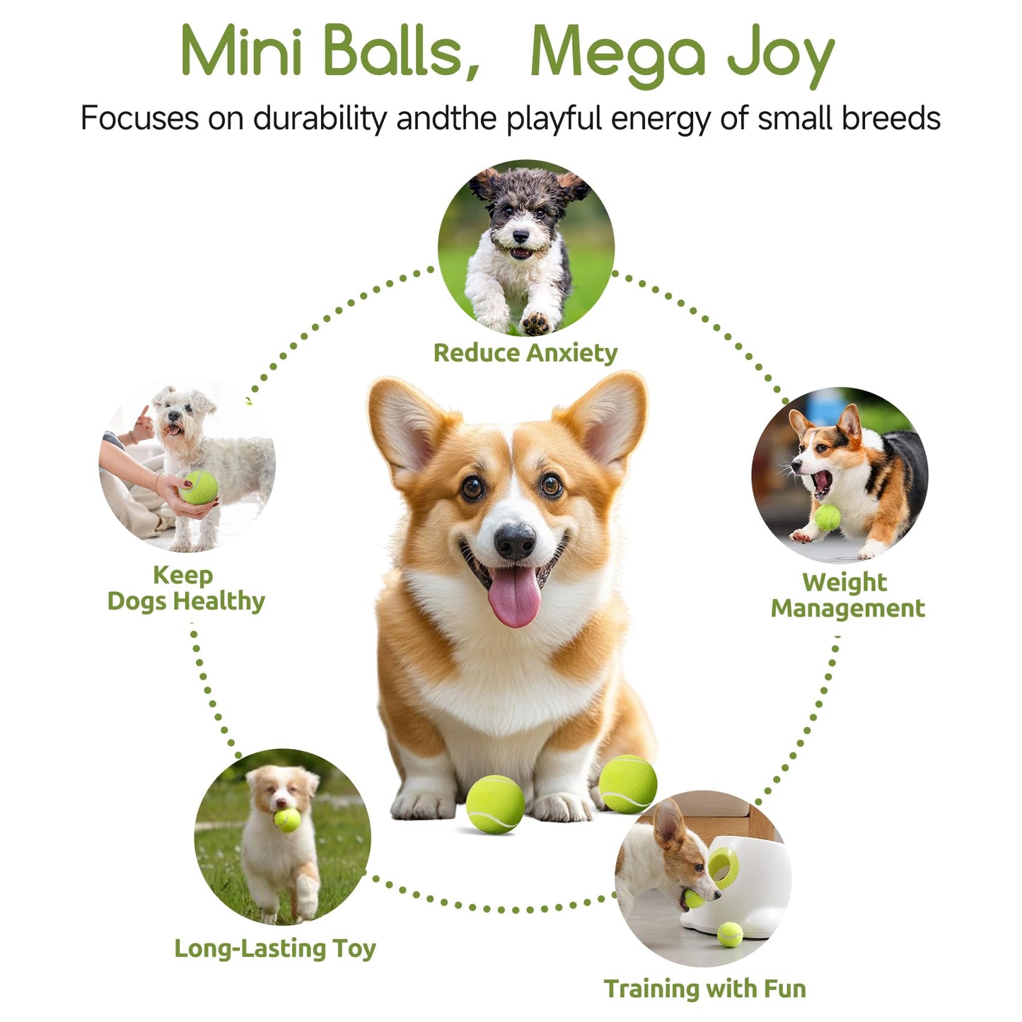 susu & wuwu 12 Pack Mini Tennis Balls for Small Dogs, 2 Inch Small Tennis Balls for Dog Interactive Playing Fetching Training, Puppy Toys to Keep Them Busy