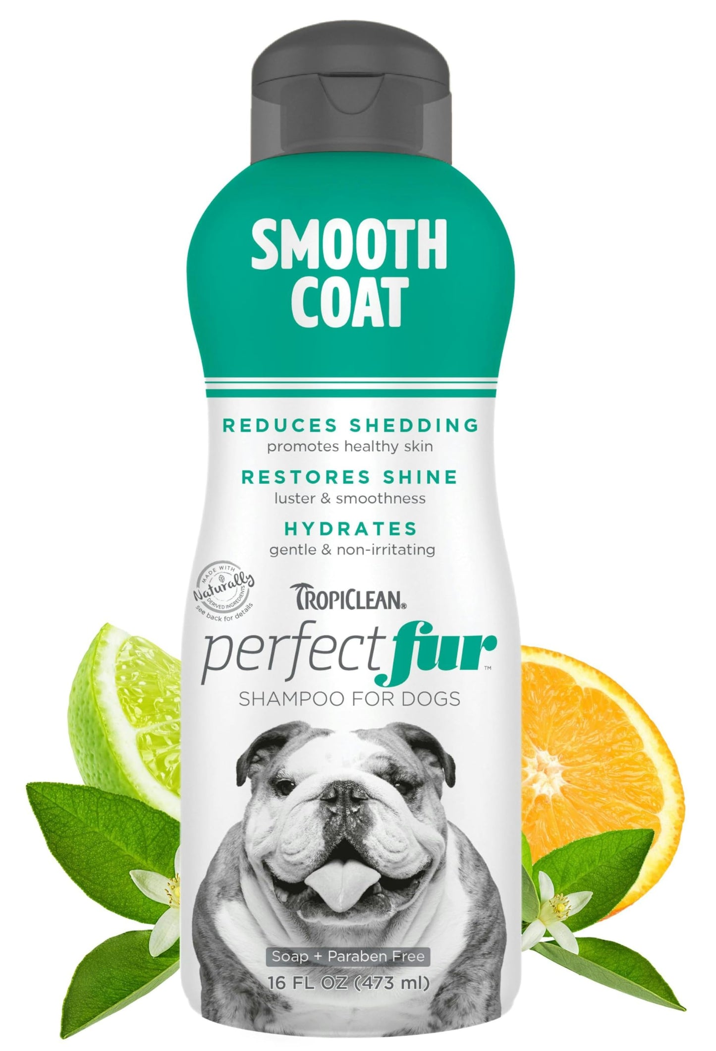 ODAC Overture Derma Serene Pet Shampoo, Gentle, Skin Friendly with Winter Cherry Root & Korean Patchouli, Rich Lather & Herbal Freshness, for Dogs & Cats, 10.14 fl oz Korea Beauty Pet Skincare