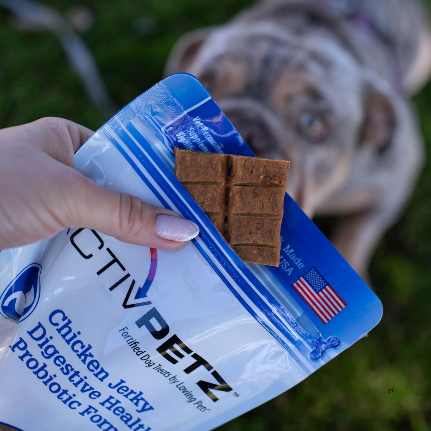 Loving Pets Activpetz Chicken Jerky Digestive Health + Probiotic Formula Dog Treat, 7 Oz