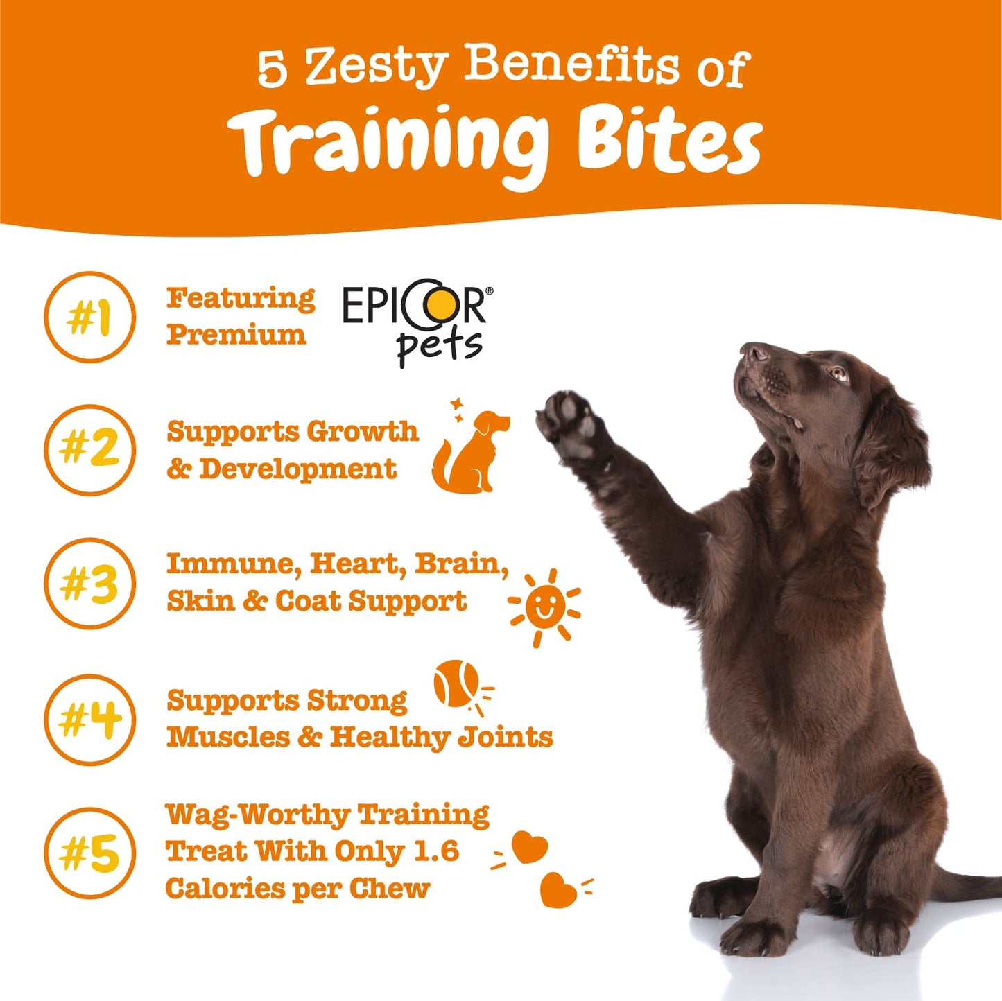 Zesty Paws Training Treats for Dogs & Puppies - Dog Treats for Training - Healthy Dog Chews for Hip, Joint & Muscle Health - for All Breeds and Ages - PB Flavor - 12oz