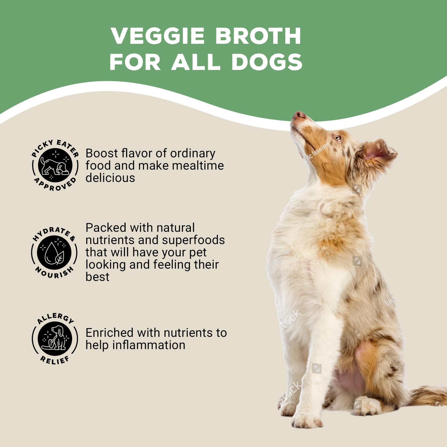 Brutus Broth Instant On The Go Vegetable Powder for Dogs - Vegetable Powder with Omegas 3, 6 & 9 & Turmeric - Human Grade Food Toppers for Dry Food & Picky Eaters - 5 Stick (Salmon Flavor)
