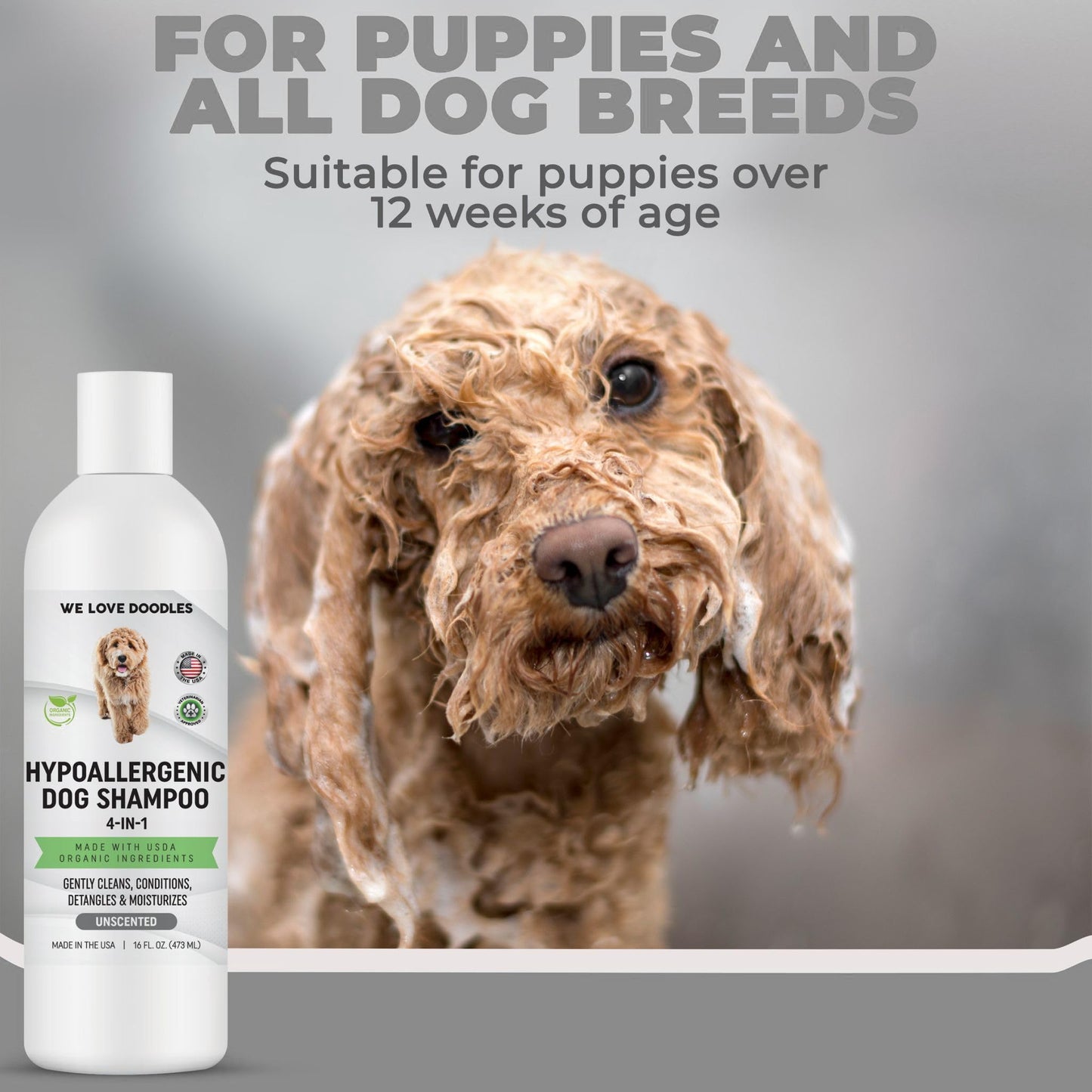 We Love Doodles Hypoallergenic & Lavender Dog Shampoo Bundle - Organic Ingredients, Sensitive Skin & Allergies, for Matted Pet Hair, Shampoo for Puppies, Made in The USA