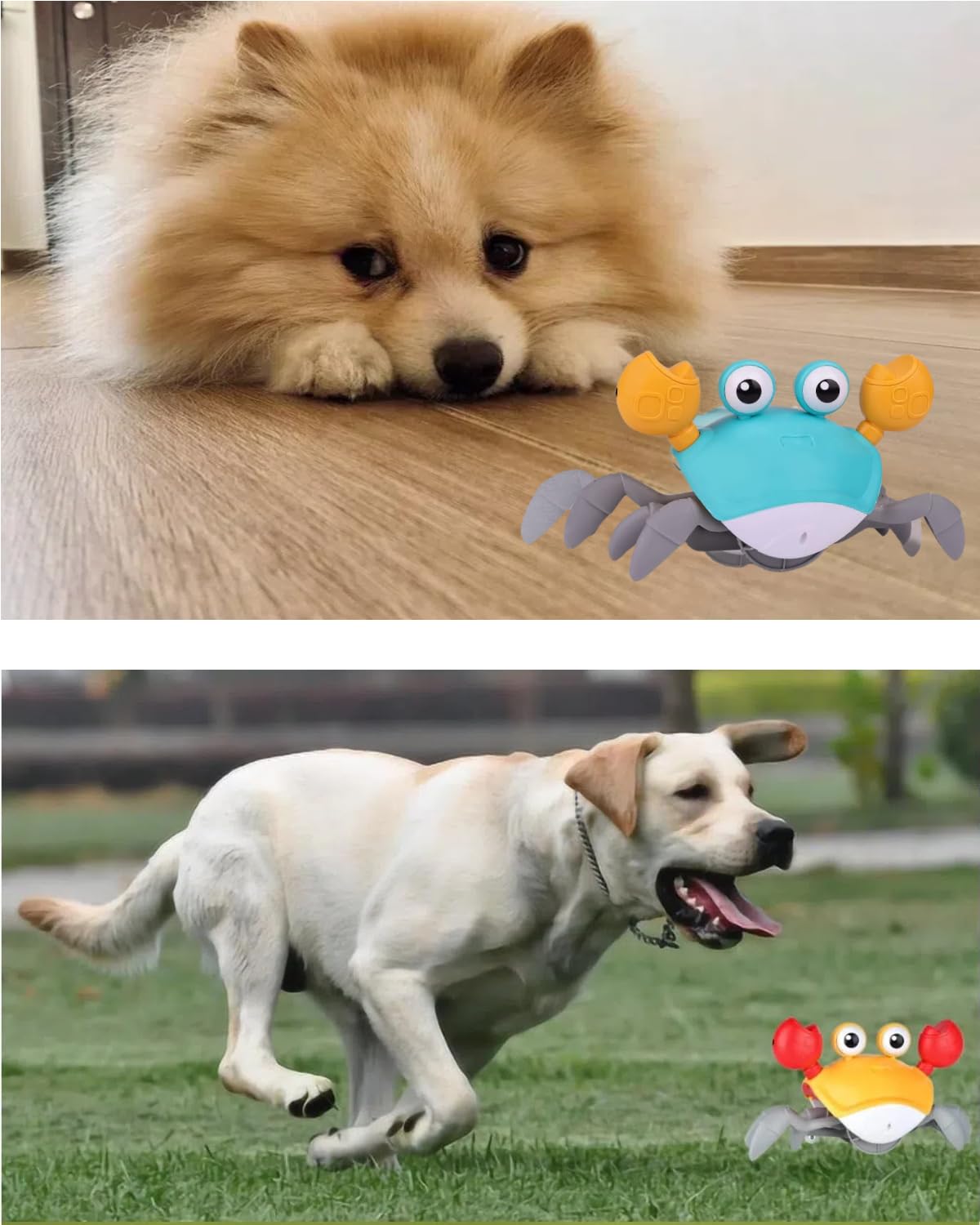 JMPTUFMT Crawling Crab Dog Toys with Obstacle Avoidance Sensor & Music Sounds, Lights for Dogs, Dancing Crab Toys Gifts for Puppy Small Medium