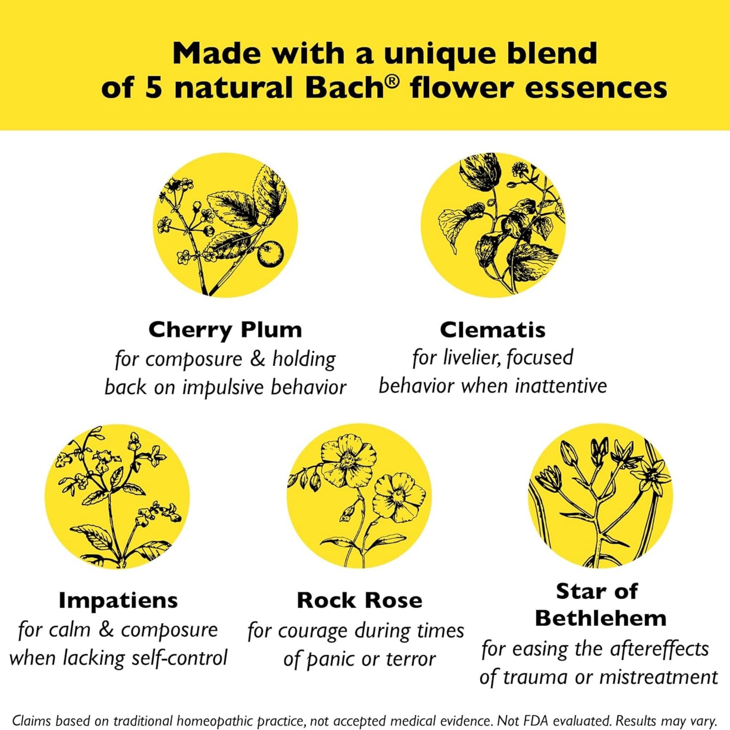 Bach RESCUE Remedy PET Dropper 20mL, Natural Stress Relief, Calming for Dogs, Cats, & Other Pets, Homeopathic Flower Essence, Thunder, Fireworks & Travel, Separation, Sedative-Free, 2-Pack