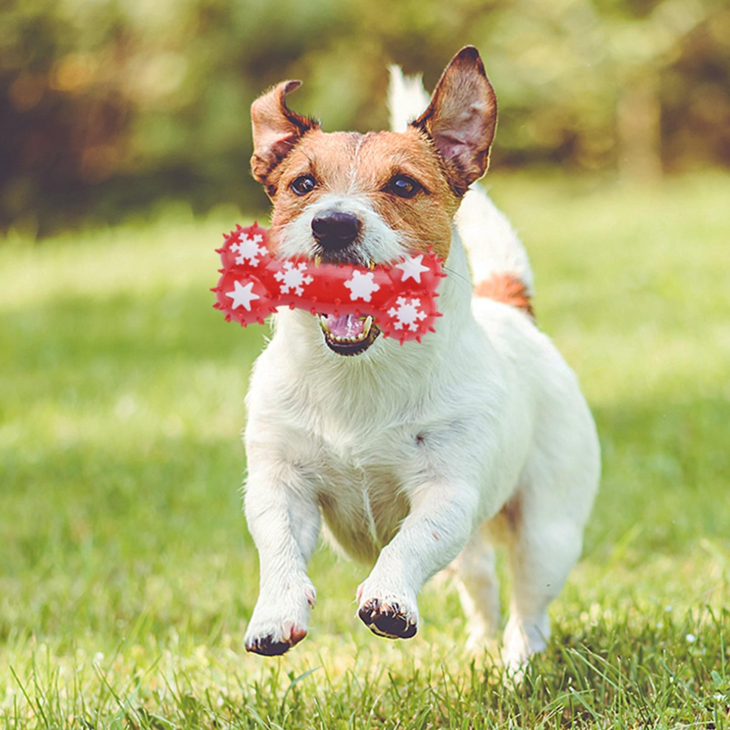 2 Pack Dog Toys - Bone & Ball Chew Toys, Teething Toys for Aggressive Chewers Durable Tough Chew Toys for Small/Medium/Large Breeds Snowflake Bone Pattern (Red, Ball+Bone)