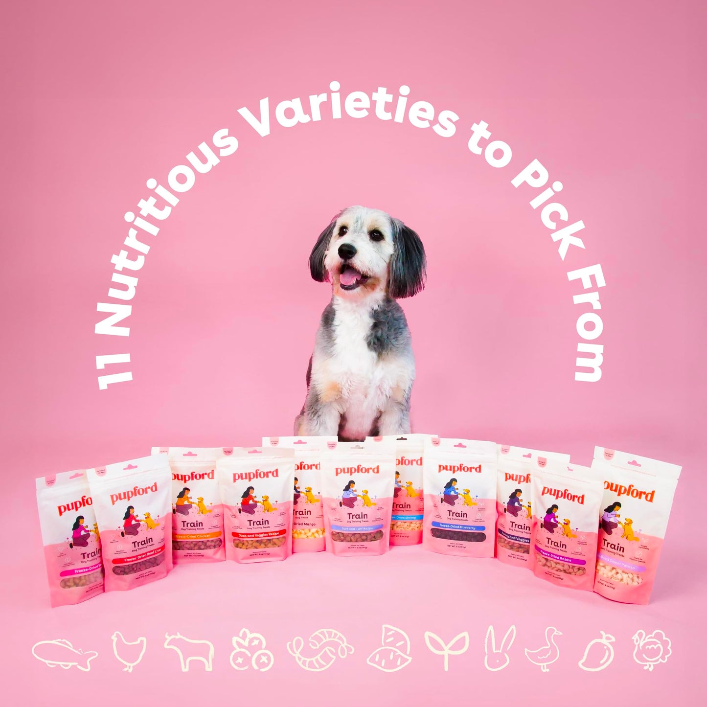 Pupford Freeze Dried Training Treats for Dogs & Puppies, 225+ Two Ingredient Bites (Salmon, 2 oz)