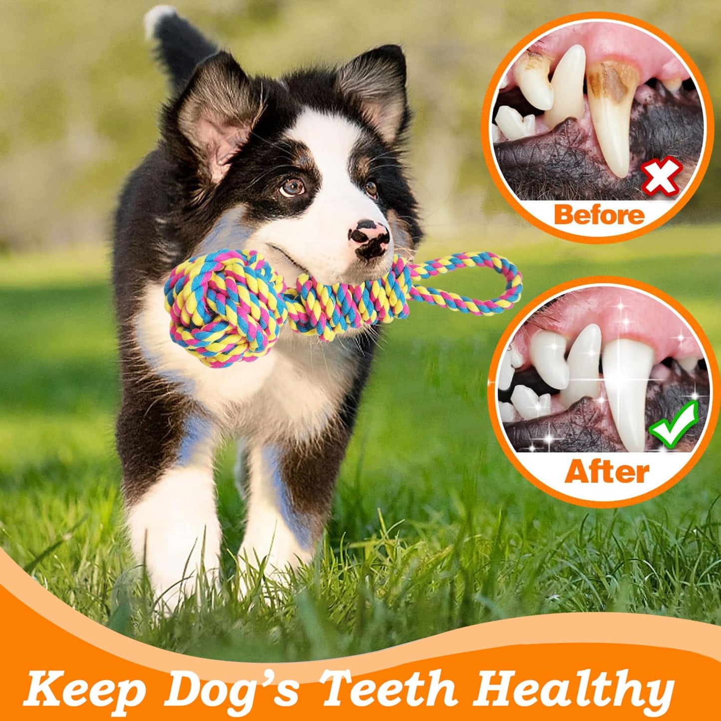 TUAHOO Outdoor Bungee Tug Toy, Dog Toy Hanging from Tree Tugger, Interactive Toy & Spring Pole Tether Tug of War Toys for Pitbull Small to Large Dogs to Exercise Solo Play, 2 Pack Dog Rope Toys