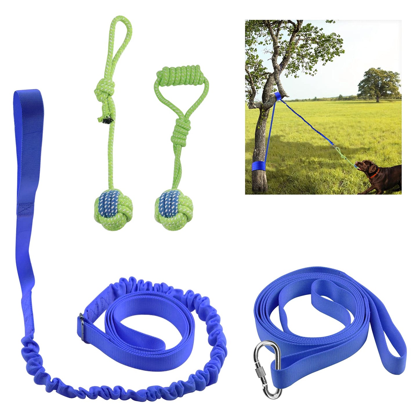 Outdoor Hanging Bungee Dog Toy - Interactive Dog Tug Toy with 2 Chew Rope Toys for Small to Large Dogs - Best for Tug of War, Bite Training, Pull Exercise, Solo Play
