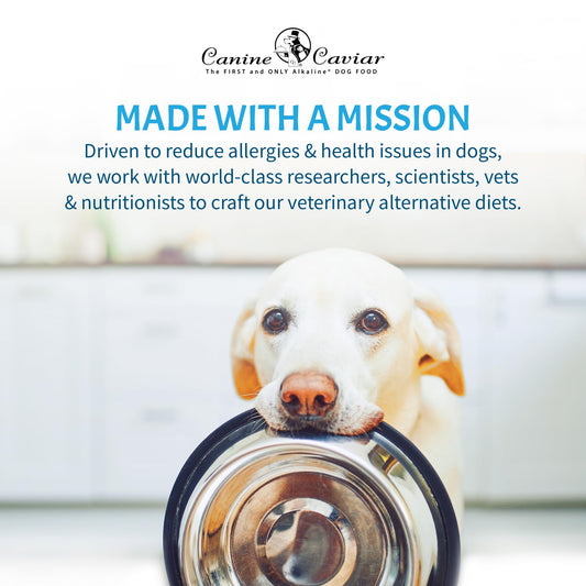 Canine Caviar - Leaping Spirit: Venison & Pearl Millet Alkaline Dry Dog Food, Limited Ingredients, Gluten-Free, Based on Science & Research, Veterinary Alternative Diet (11 Pound Bag)