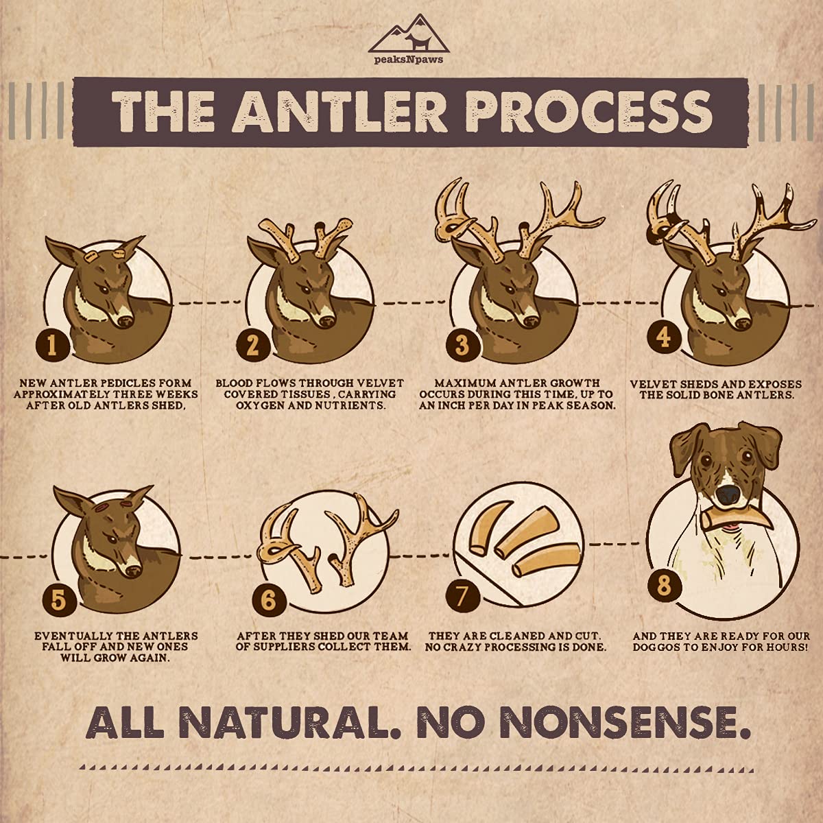 peaksNpaws Premium All-Natural Grade A Split Elk Antlers for Dogs – Naturally Shed in The Rocky Mountains – No Additives, No Preservatives - Healthy and Delicious Treat - Made in USA - XL/Jumbo Split