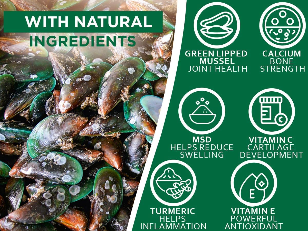 Plantonin Green Lipped Mussel for Dogs – 1325mg High Strength Hip & Joint Supplement for Dogs with Omega-3 – Supports Dog Joint Health, Mobility & Vitality – 90 Dog Joint Supplements Tablets