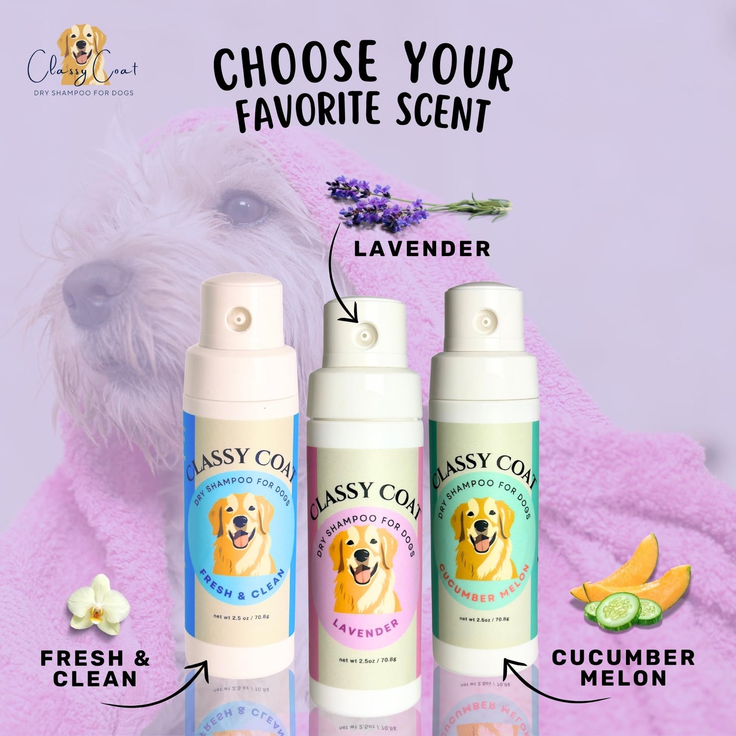 Classy Coat Dry Shampoo for Dogs (Lavender) | Waterless No-Rinse Spray Powder | Calming Lavender Scent | Soothing | Talc and Alcohol Free | Safe for Sensitive Skin | Made in USA