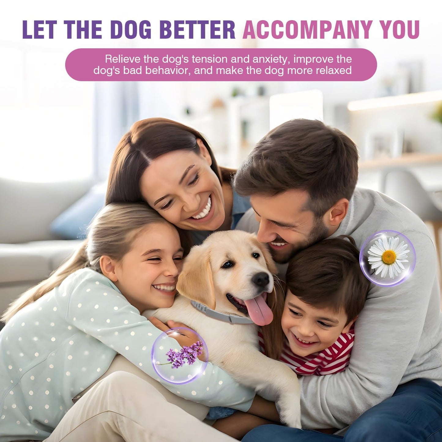 Calming for 4 Pack Pheromone Calming Collar for Dogs Calming Collar for Dogs Anxiety and Stress Lasts 60 Days Suitable for All Small, Medium and Large Calming Dog Collar Natural