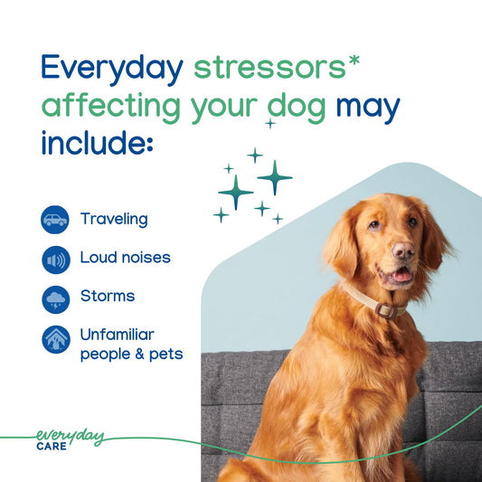 ZENIDOG Long-Acting Collar-Dog Calming Pheromone Collar for Stress Relief - Lasts up to 3 Months by Virbac