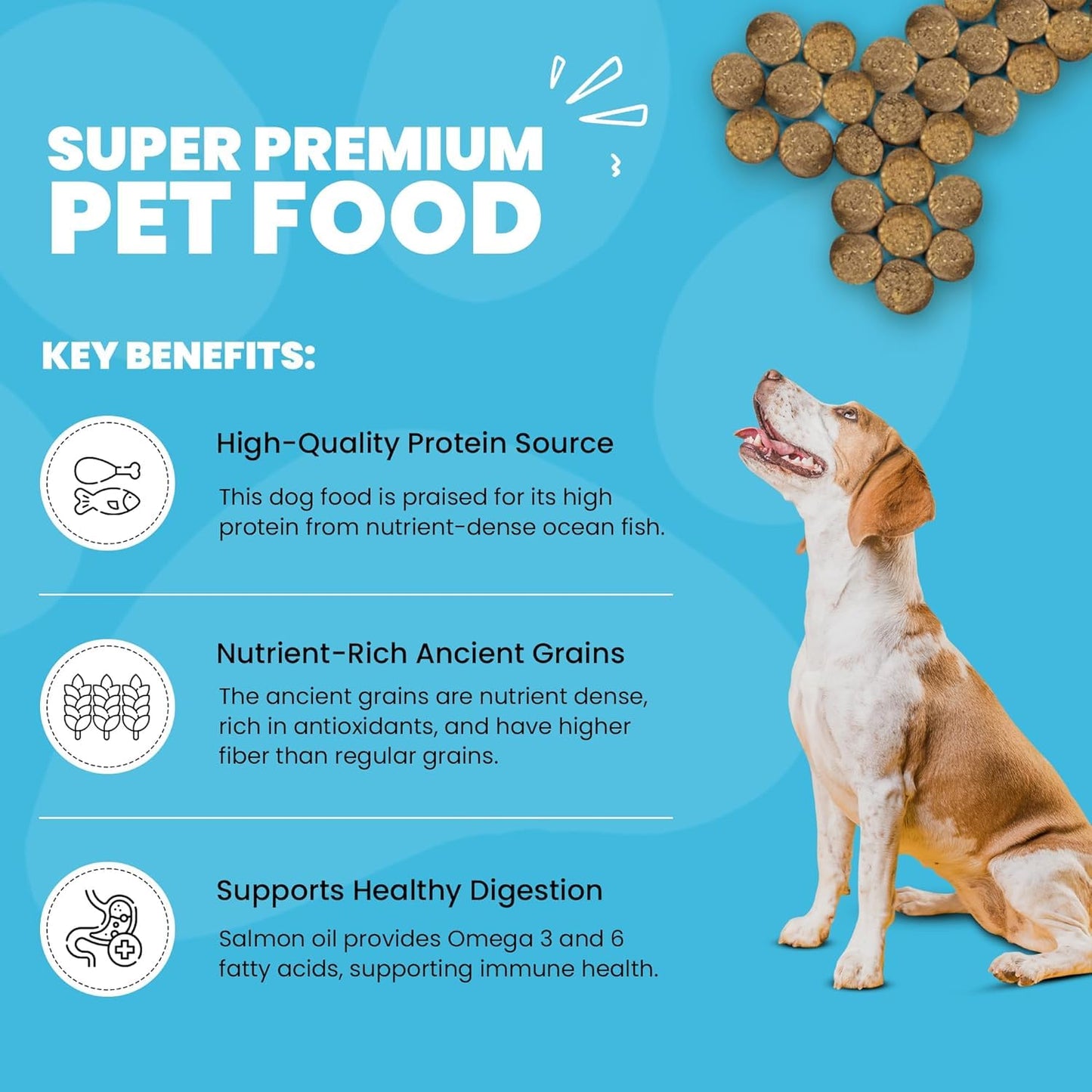 Muenster Ancient Grains Ocean Fish Dry Dog Food, 4lb - Gluten-Free, High Protein, Digestive Support