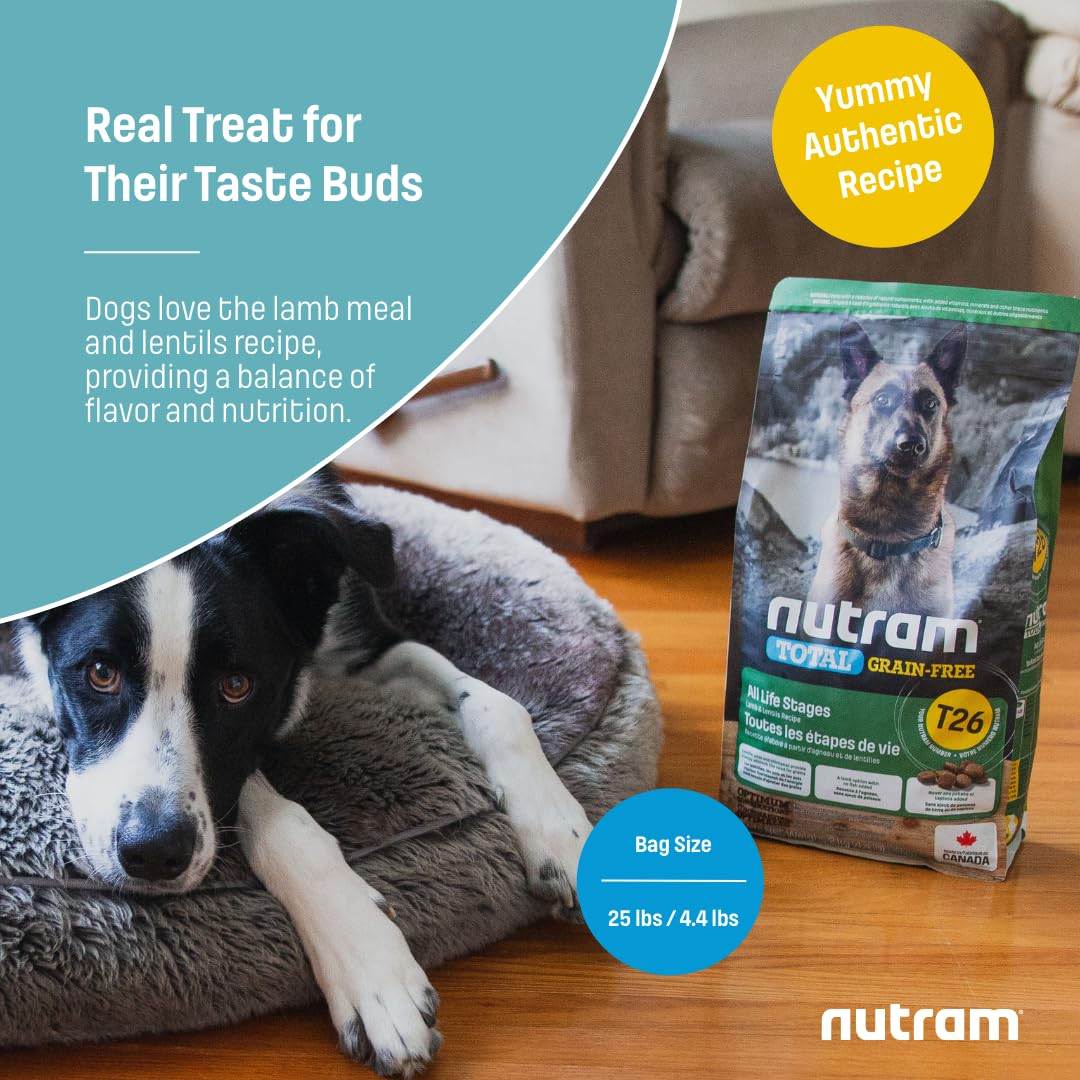 Nutram T26 Grain-Free Lamb & Lentils Dry Dog Food | High Protein, Chicken-Free Kibble with Pumpkin, Flaxseed & Salmon Oil | Easily Digestible, Allergy-Friendly for Puppies, Adults & Seniors