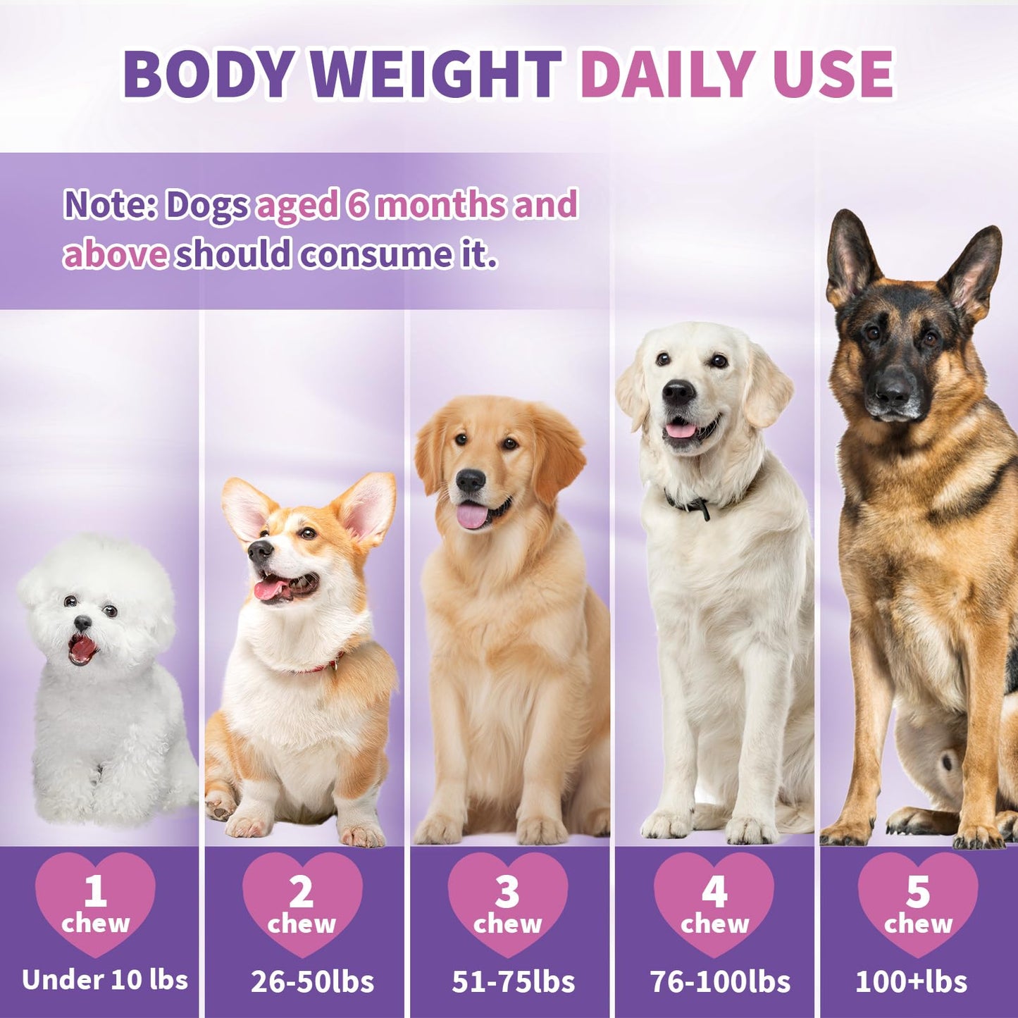 Calming Melatonin for Dogs Pet Chews Calming Treats for Sleep Aid Sleeping Pills Puppy Melatonin Bites Support Stress Anxiety Relief Separation for Small and Large Dogs 200ct (Chicken Flavor)
