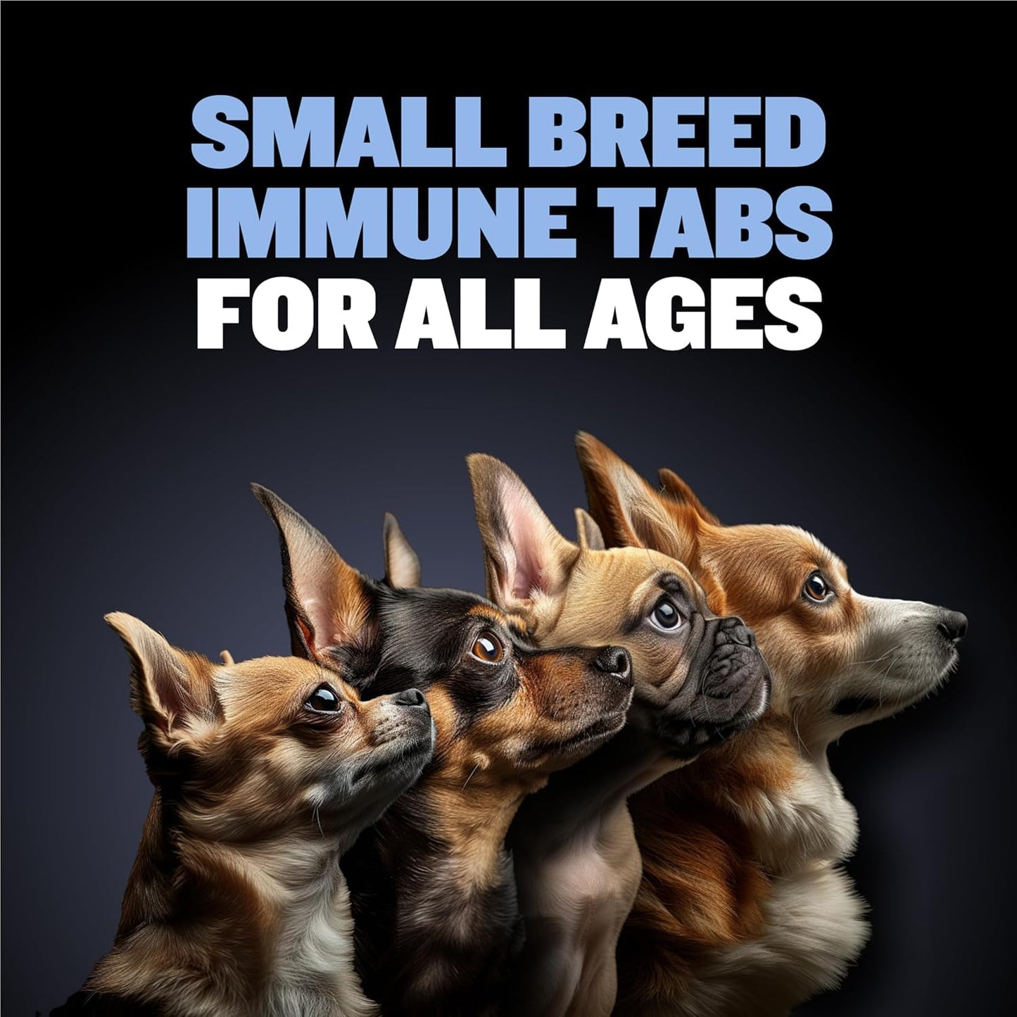 Bully Max Small Breed Dog Immune Support Tablets - Chewable Multivitamin Immunity Booster Supplement for Puppy & Adult Dogs - Pet Vitamins with Astaxanthin, Colostrum, Turmeric - 30 Tabs (3 Bottles)