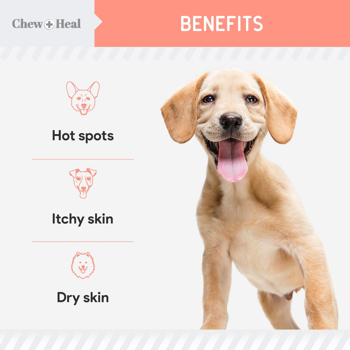 Natural Hot Spot Treatment for Dogs - 2 oz Soothing Oil for Hotspots and Itchy Skin with Natural Ingredients - Chlorhexidine Free - Good for Sensitive Skin - Made in The USA