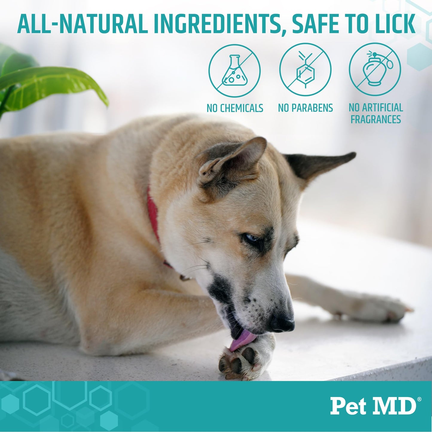 Pet MD Soothing Balm - Cat & Dog Paw Pad Balm - Elbow and Dog Nose Balm for Dry Nose - with Shea Butter, Beeswax, and Coconut Oil for Dogs - Fragrance Free and Safe to Lick - Made in USA