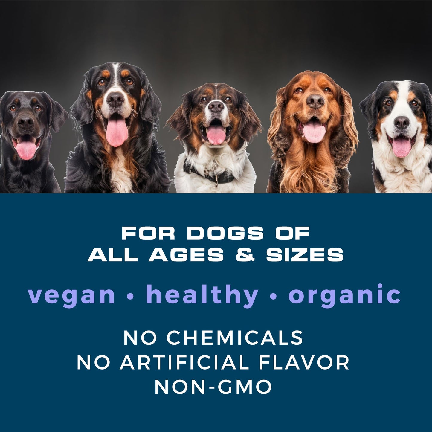 The Canine Supplement – Joint Support for Dogs | Soft Chews with Glucosamine, Chondroitin, MSM & Turmeric | Helps Mobility, Flexibility & Pain Relief | Roasted Peanut Flavor, 90 Count