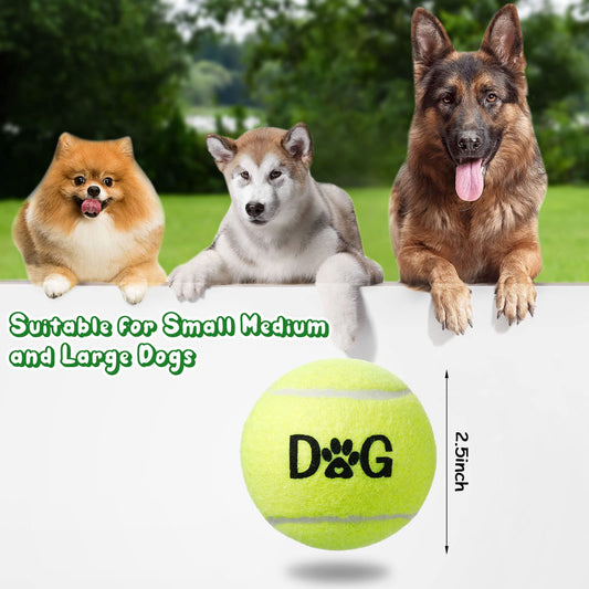 40 Pack Tennis Balls Dog Toys Bulk 2.5 Inch with Carry Bags, Easy Catching Interactive Fetch for Pet Puppy Small Medium Large Dogs Training Exercise and Practice