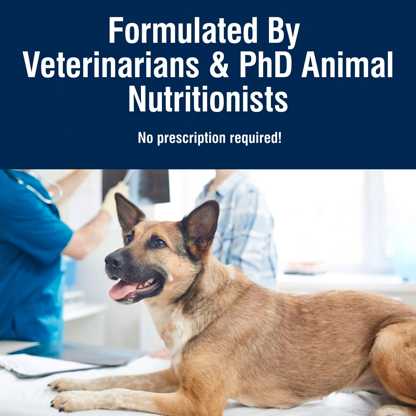Blue Buffalo True Solutions Mobility Care Wet Dog Food for Adult Dogs, Made with Natural Ingredients, Chicken, 12.5-oz. cans (12 Count)