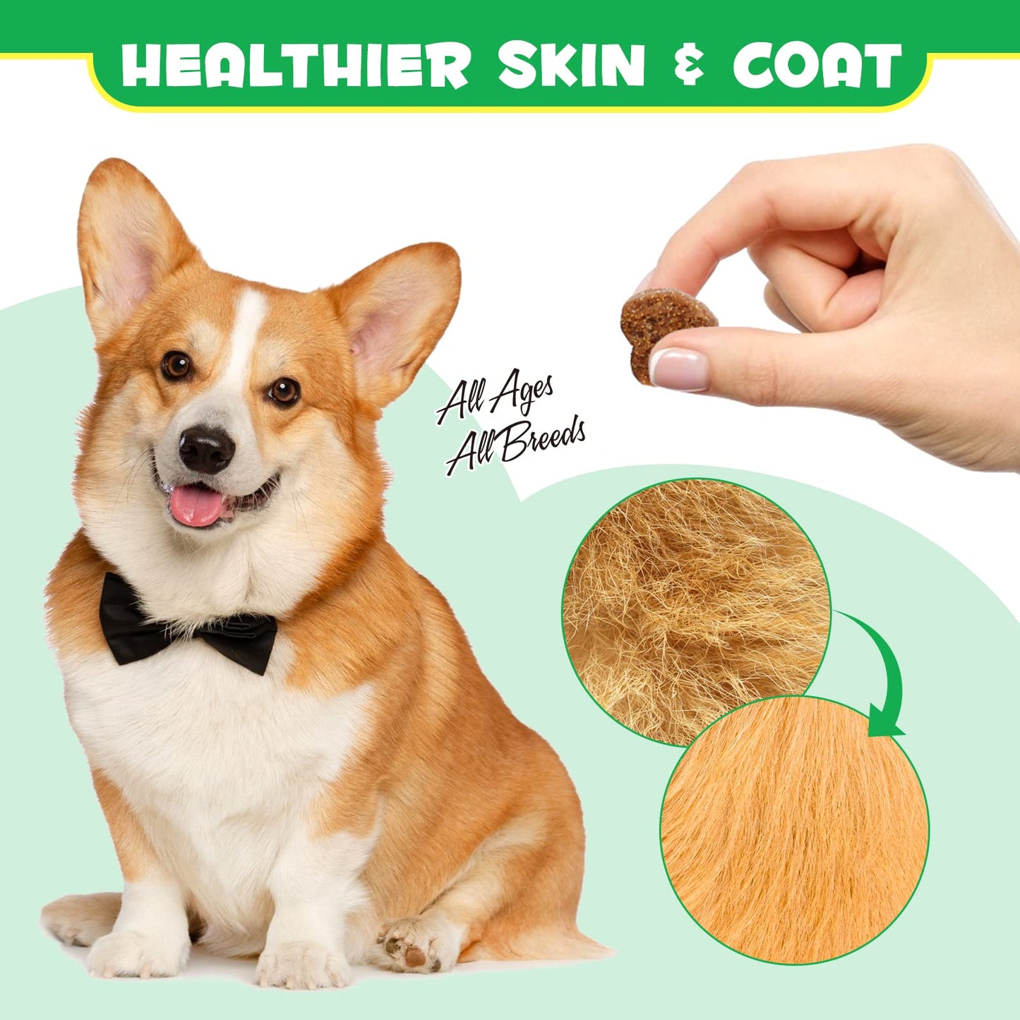 Probiotics for Dogs - Pre & Probiotic Digestive Treats for Dog, Support Gut Health, Seasonal Allergies, Itchy Ears, Dog Supplement Soft Chews, Immune Function Support for Dogs - 120pc/Duck Flavor
