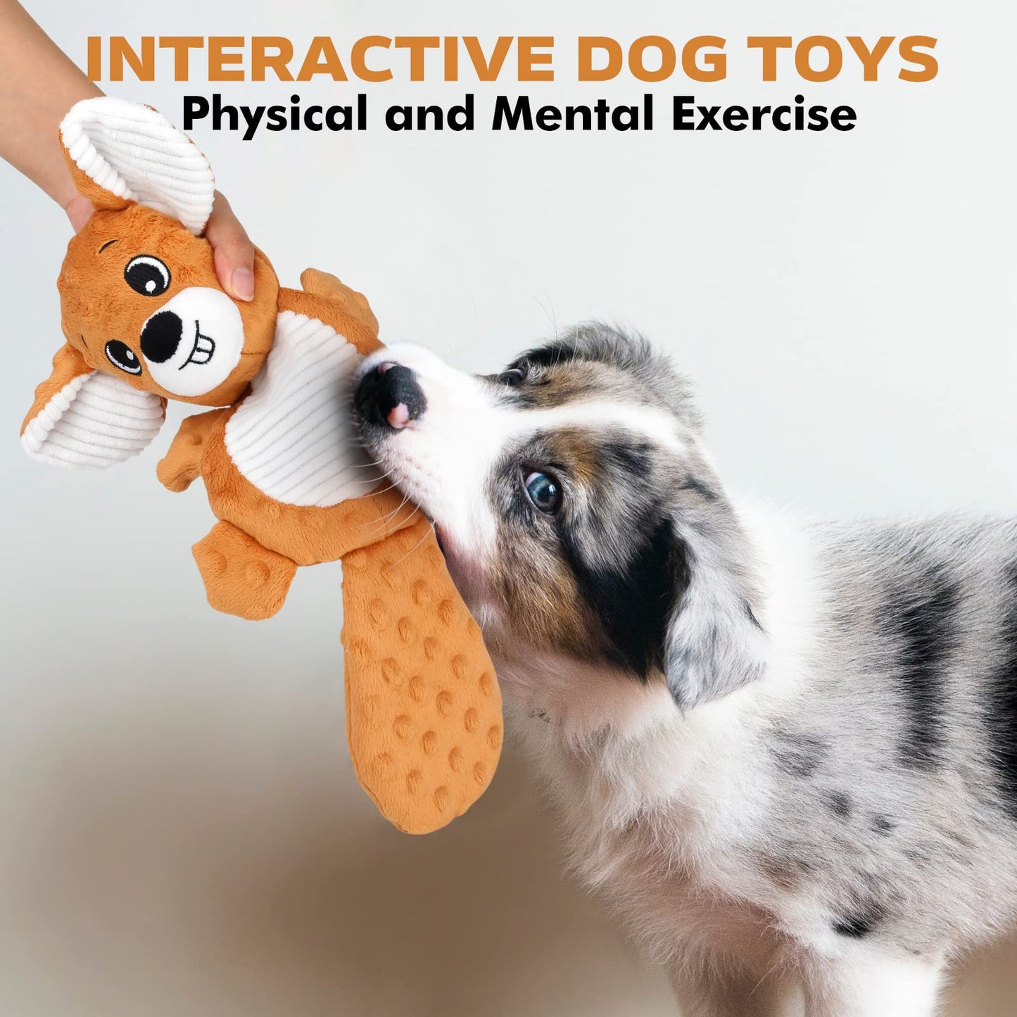 petizer Plush Squeaky Dog Toys, Stuffed and Crinkle Dog Chew Toys, Interactive Toys for Puppies, Small, Medium and Large Dogs, Cute Squirrel and Raccoon, 2 Pack