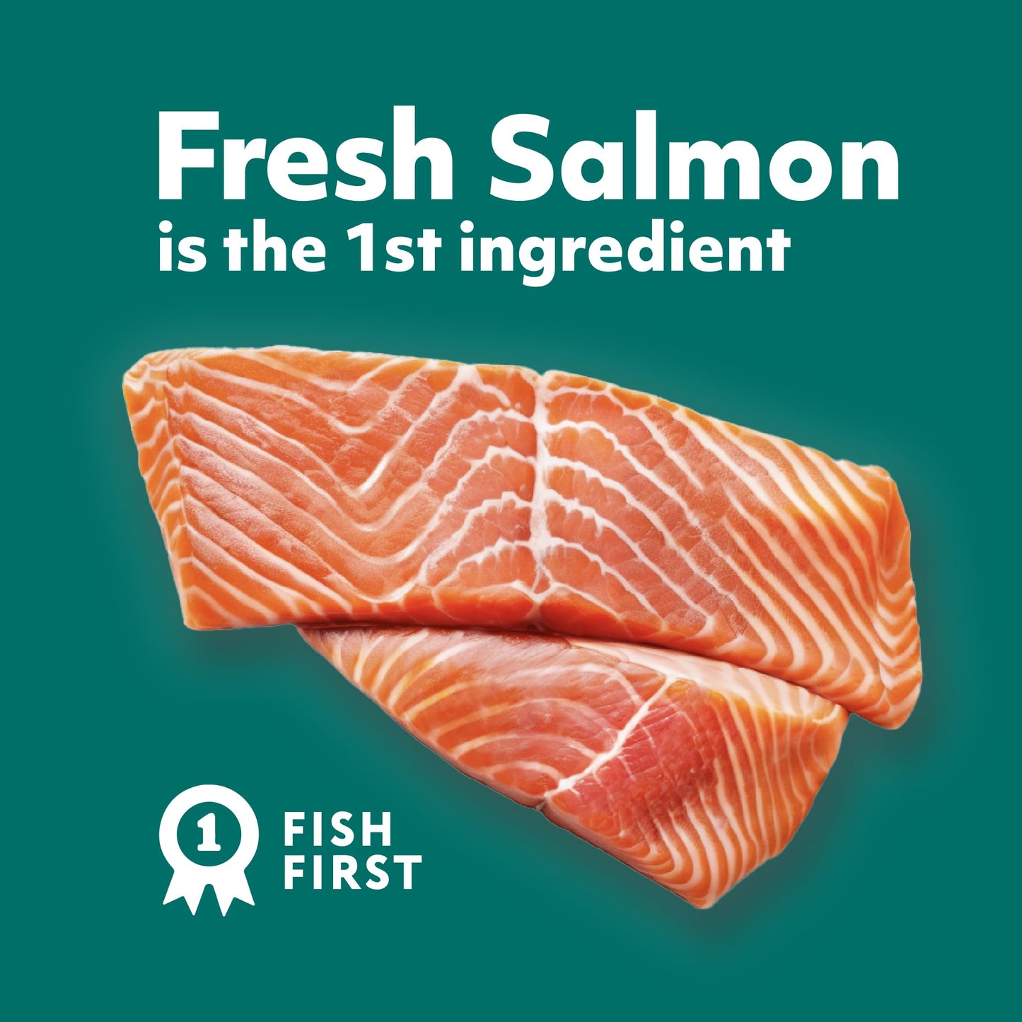 Optimeal Toy Breed Dry Dog Food – Small Kibble for Small Dogs, High Protein, Natural Ingredients, Skin & Digestive Support, Premium European Nutrition – Salmon & Brown Rice, 3.3 lbs