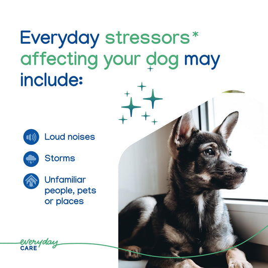 ZENIDOG Gel Diffuser - Dog Calming Pheromone Diffuser for Stress Relief No Electricity Required and Lasts up to 2 Months by Virbac